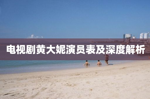电视剧黄大妮演员表及深度解析