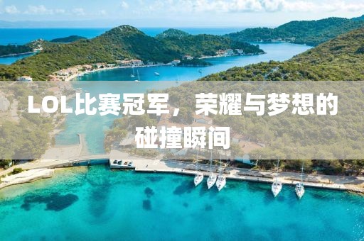 LOL比赛冠军，荣耀与梦想的碰撞瞬间