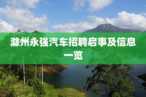 遗落的满地记忆 第17页