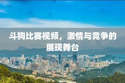 斗狗比赛视频，激情与竞争的展现舞台