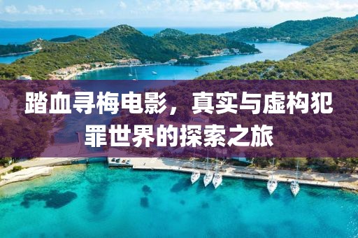 踏血寻梅电影，真实与虚构犯罪世界的探索之旅