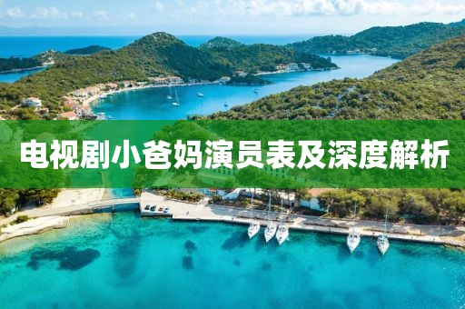 电视剧小爸妈演员表及深度解析