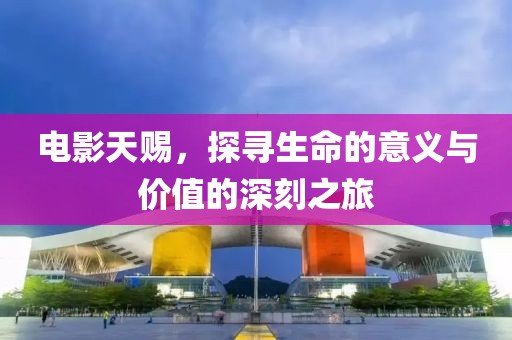 电影天赐，探寻生命的意义与价值的深刻之旅