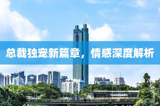 总裁独宠新篇章，情感深度解析