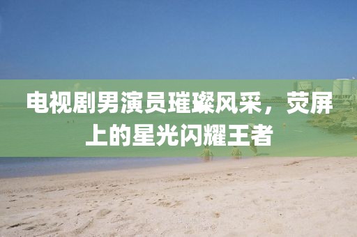电视剧男演员璀璨风采，荧屏上的星光闪耀王者