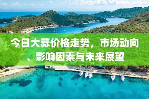 今日大蒜价格走势，市场动向、影响因素与未来展望