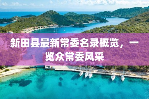 新田县最新常委名录概览，一览众常委风采