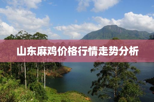 山东麻鸡价格行情走势分析
