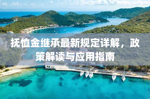 抚恤金继承最新规定详解，政策解读与应用指南