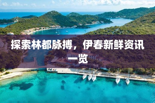 探索林都脉搏，伊春新鲜资讯一览