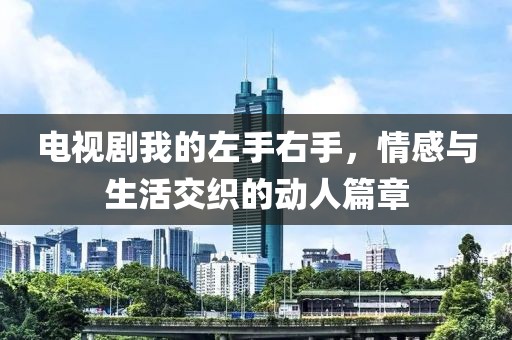 电视剧我的左手右手，情感与生活交织的动人篇章