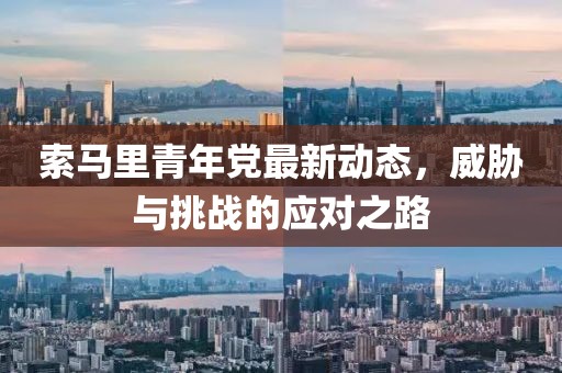索马里青年党最新动态，威胁与挑战的应对之路