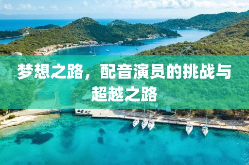 梦想之路，配音演员的挑战与超越之路