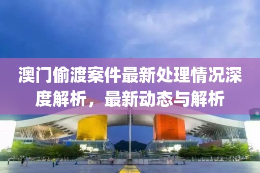澳门偷渡案件最新处理情况深度解析，最新动态与解析