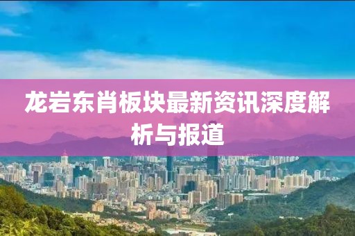 龙岩东肖板块最新资讯深度解析与报道