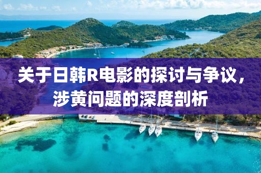 关于日韩R电影的探讨与争议，涉黄问题的深度剖析