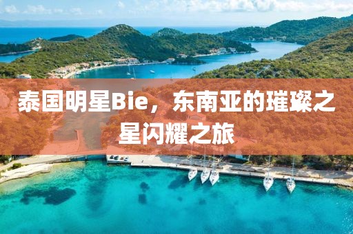 泰国明星Bie，东南亚的璀璨之星闪耀之旅