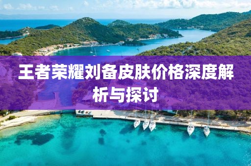 王者荣耀刘备皮肤价格深度解析与探讨