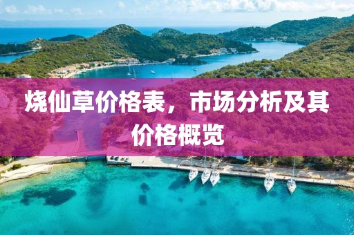 烧仙草价格表，市场分析及其价格概览