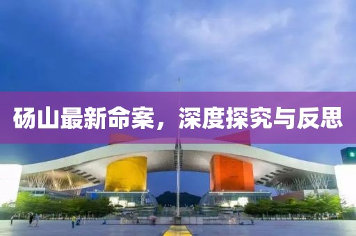 砀山最新命案，深度探究与反思