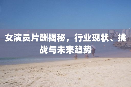 女演员片酬揭秘，行业现状、挑战与未来趋势
