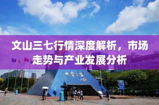 文山三七行情深度解析，市场走势与产业发展分析