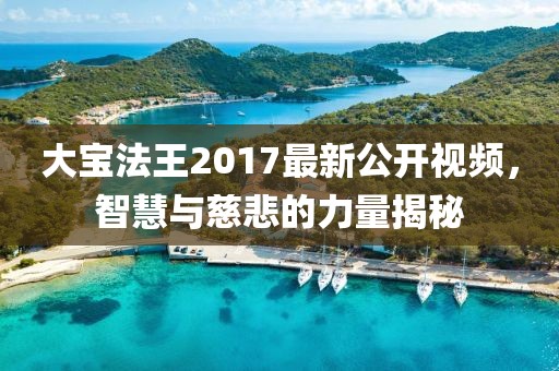 大宝法王2017最新公开视频，智慧与慈悲的力量揭秘