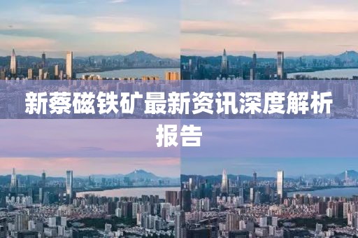 新蔡磁铁矿最新资讯深度解析报告