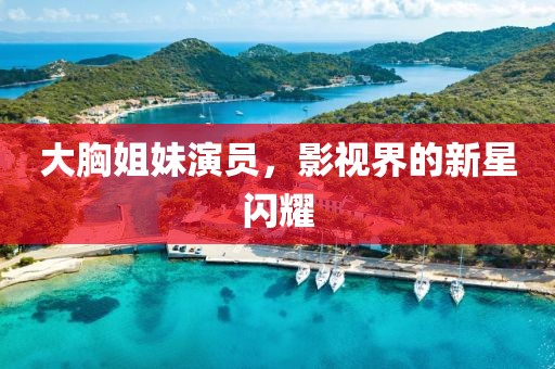 大胸姐妹演员，影视界的新星闪耀