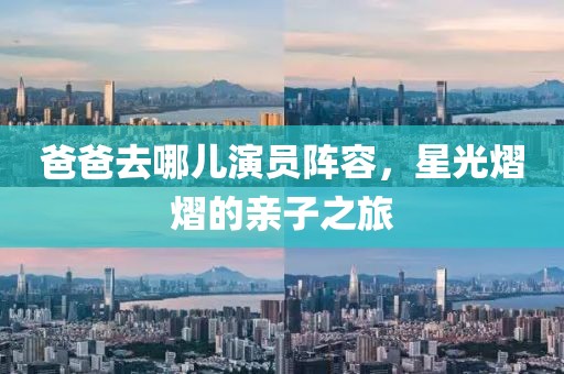 爸爸去哪儿演员阵容，星光熠熠的亲子之旅