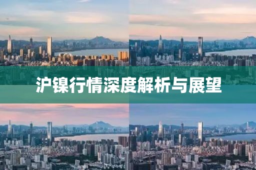 沪镍行情深度解析与展望
