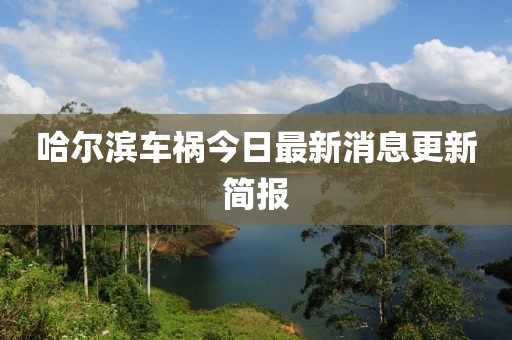 哈尔滨车祸今日最新消息更新简报