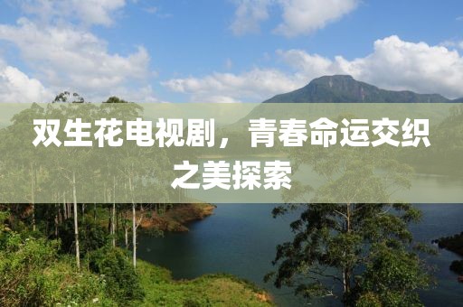 双生花电视剧，青春命运交织之美探索