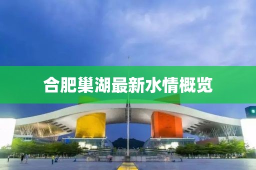 合肥巢湖最新水情概览