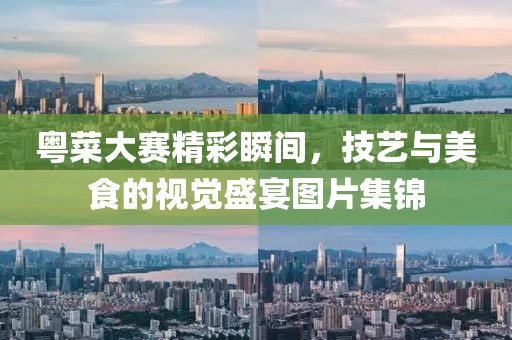 粤菜大赛精彩瞬间，技艺与美食的视觉盛宴图片集锦