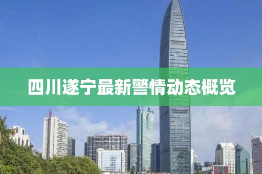 四川遂宁最新警情动态概览