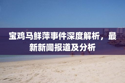 宝鸡马鲜萍事件深度解析，最新新闻报道及分析
