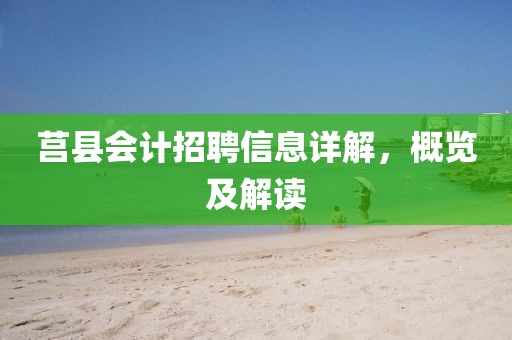 莒县会计招聘信息详解，概览及解读