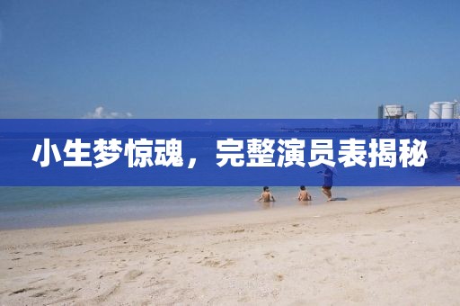 小生梦惊魂，完整演员表揭秘