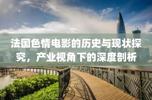 法国色情电影的历史与现状探究，产业视角下的深度剖析
