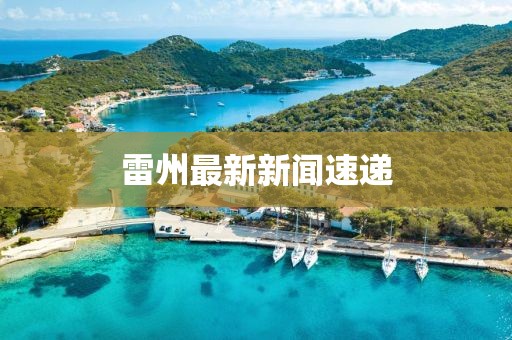 雷州最新新闻速递