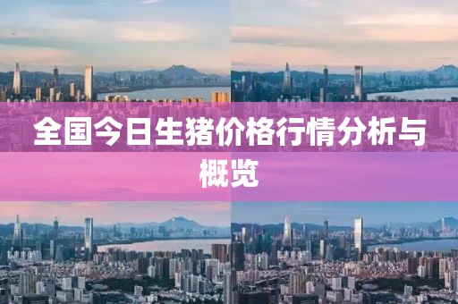 全国今日生猪价格行情分析与概览