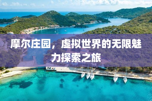 摩尔庄园，虚拟世界的无限魅力探索之旅