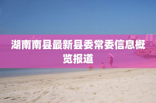 湖南南县最新县委常委信息概览报道
