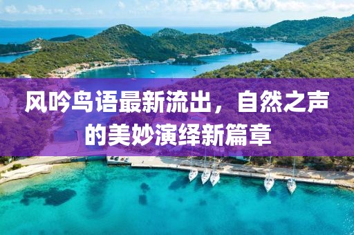风吟鸟语最新流出，自然之声的美妙演绎新篇章