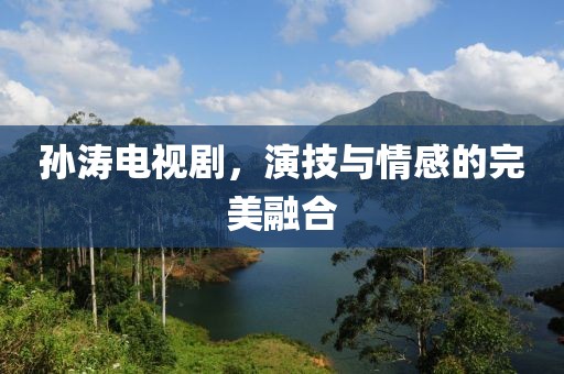 孙涛电视剧，演技与情感的完美融合