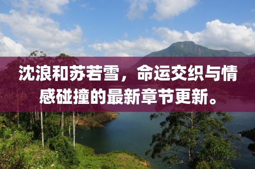沈浪和苏若雪，命运交织与情感碰撞的最新章节更新。