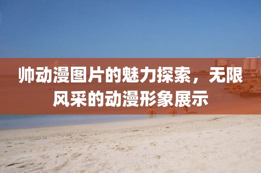 帅动漫图片的魅力探索，无限风采的动漫形象展示