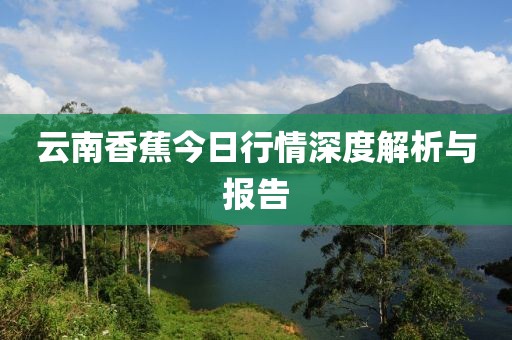 云南香蕉今日行情深度解析与报告