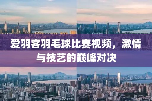 爱羽客羽毛球比赛视频，激情与技艺的巅峰对决